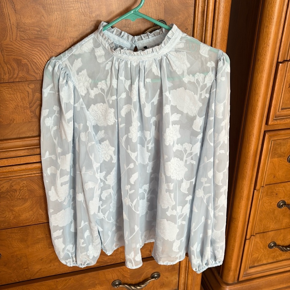 WHBM top in a sheer baby blue fabric